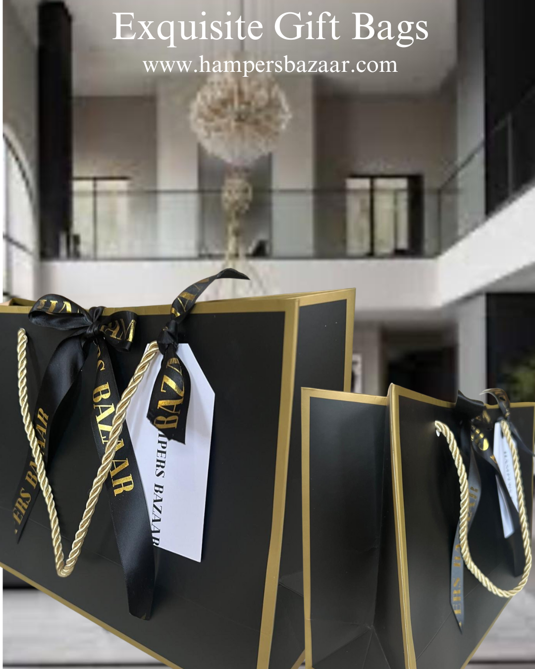 Exquisite Gift Bags